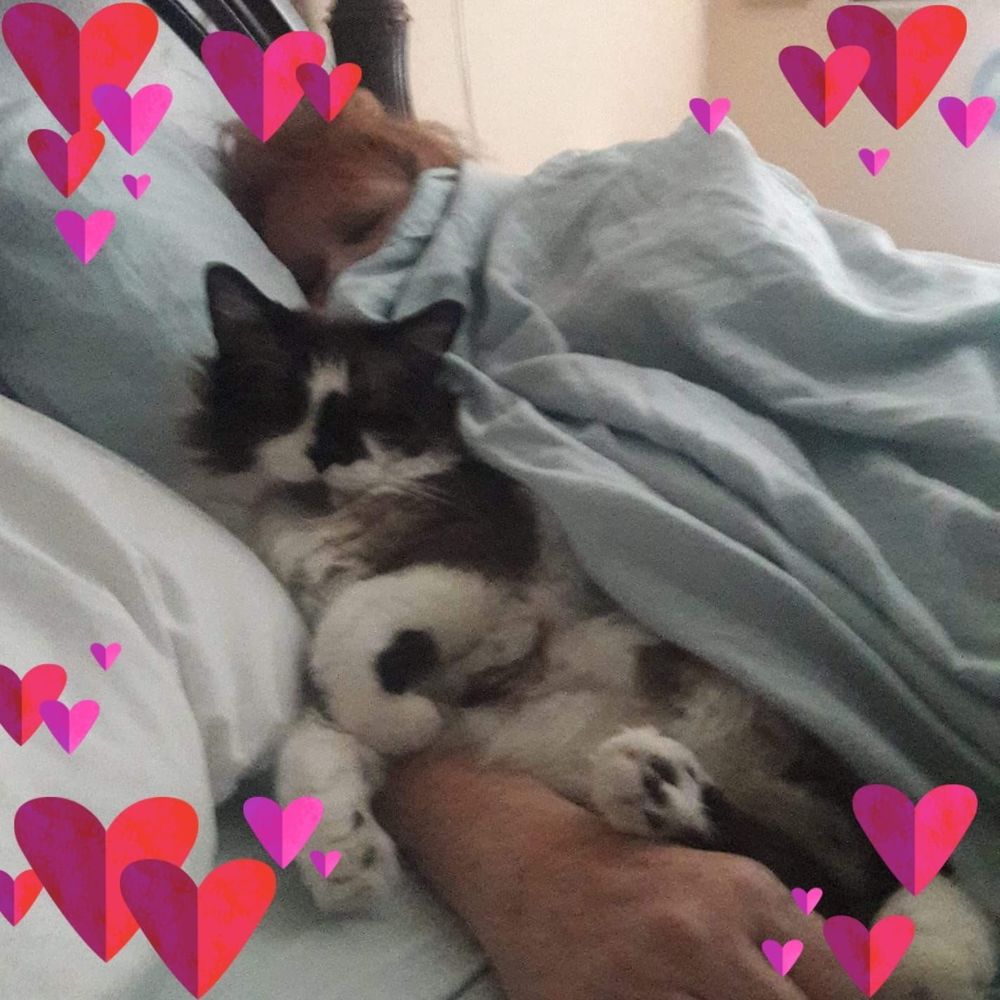 Meet your Posher, Lizbeth